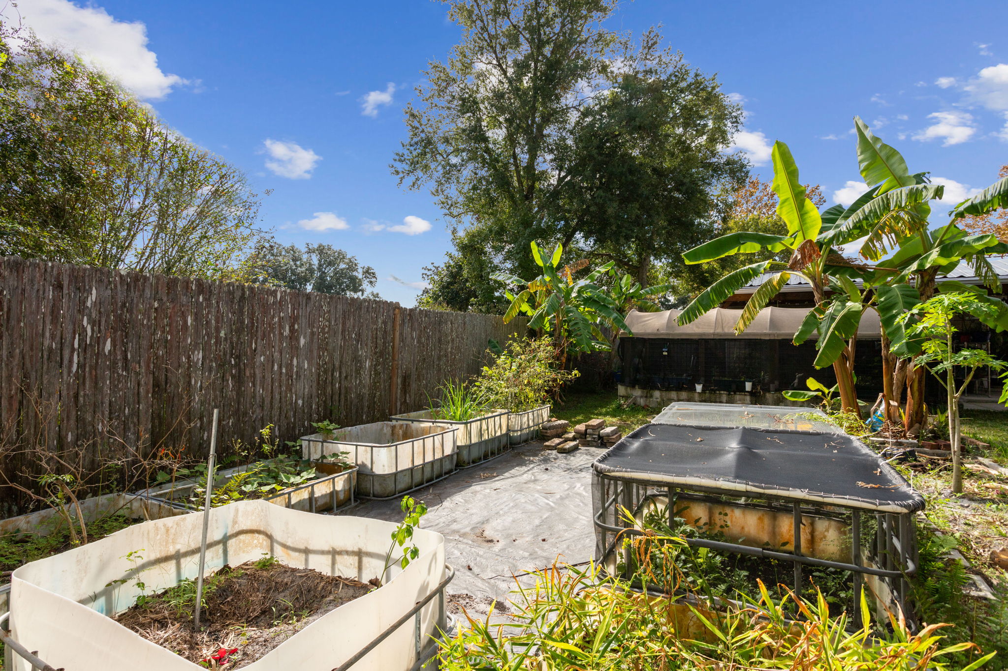 Backyard