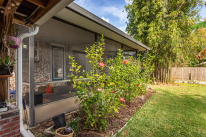 Back of Home