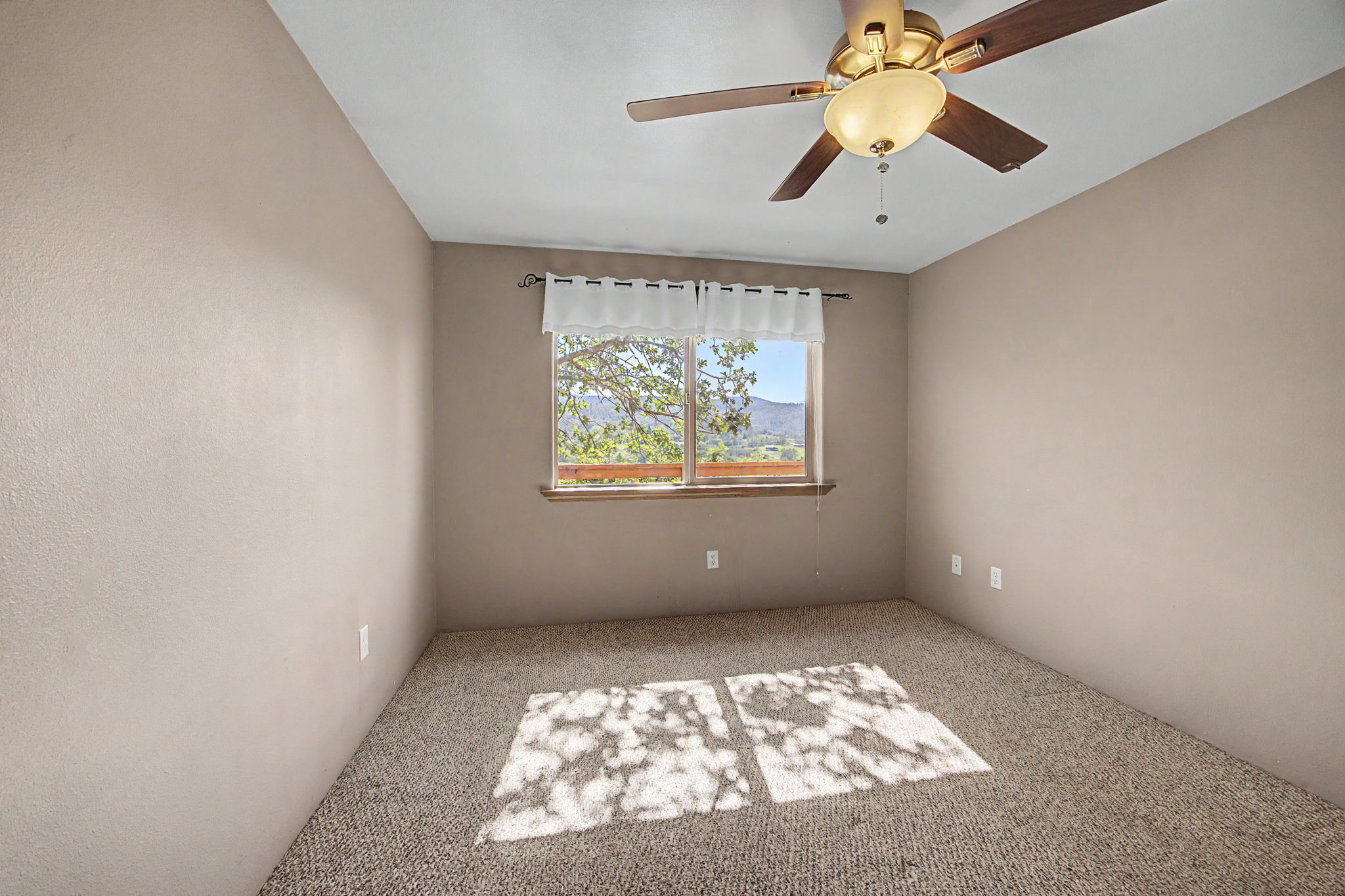 Photo 30