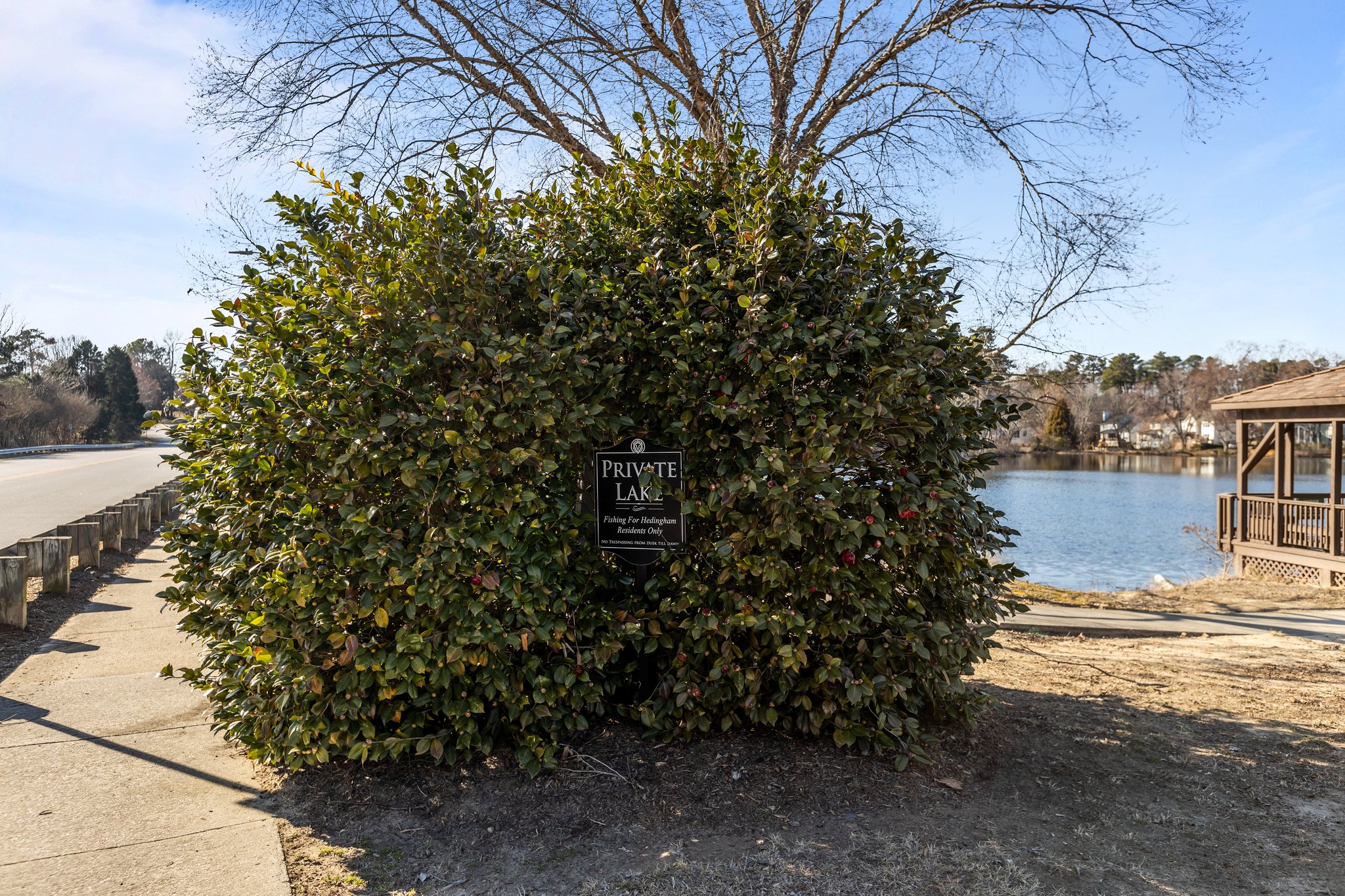  Photo 46