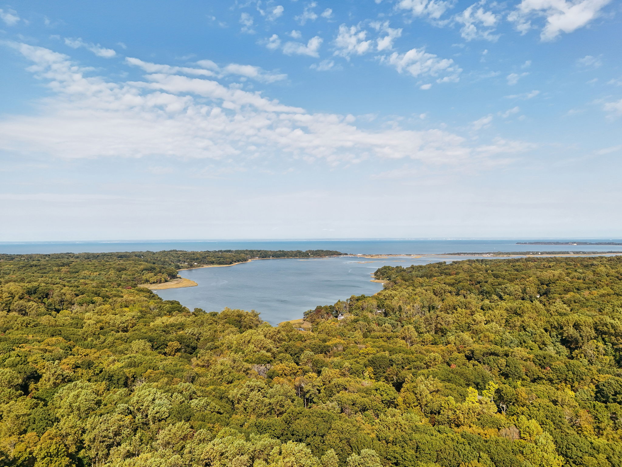 Moriches Rd-052