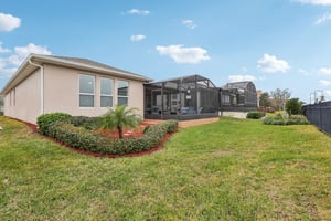 Narrow View Ln-034.jpg