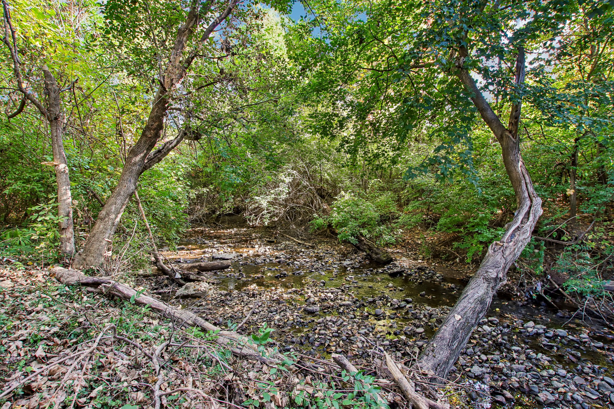 S 4th Ave-S1410-034r.jpg
