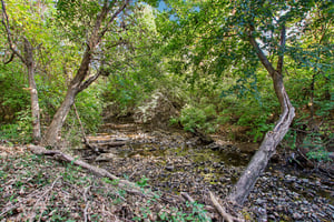 S 4th Ave-S1410-034r.jpg
