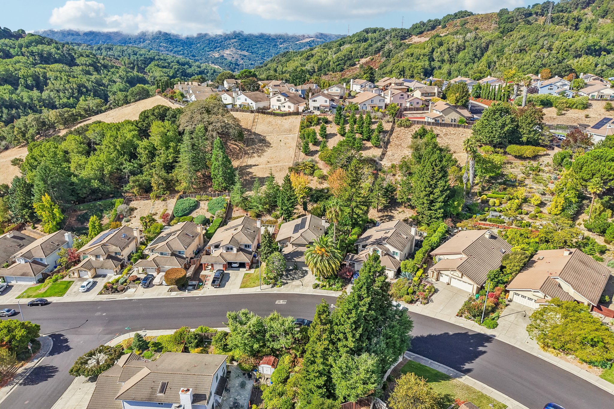 Conestoga Way-S2609-099.jpg