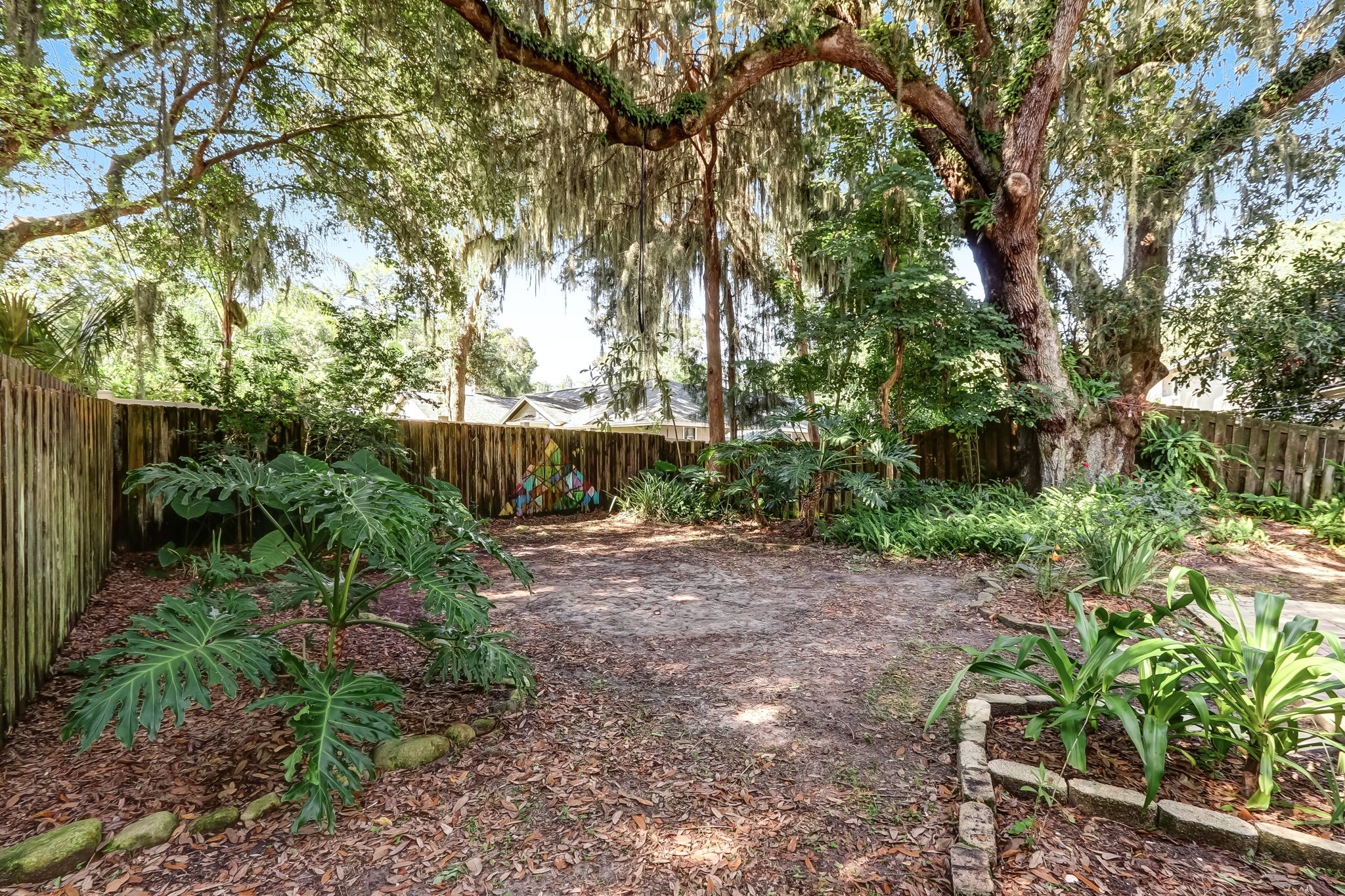 Backyard