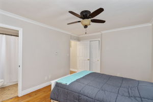  Photo 49
