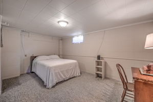 Lower Level - Bedroom