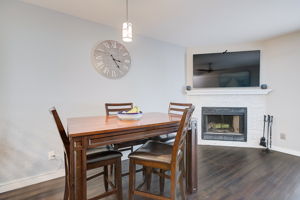 Garland Cir-018
