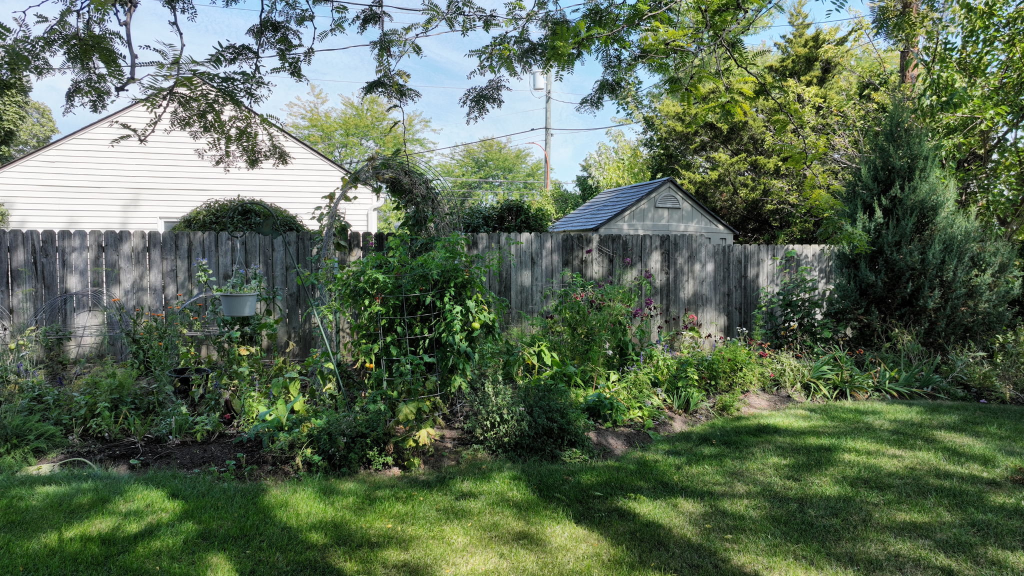 Photo 6