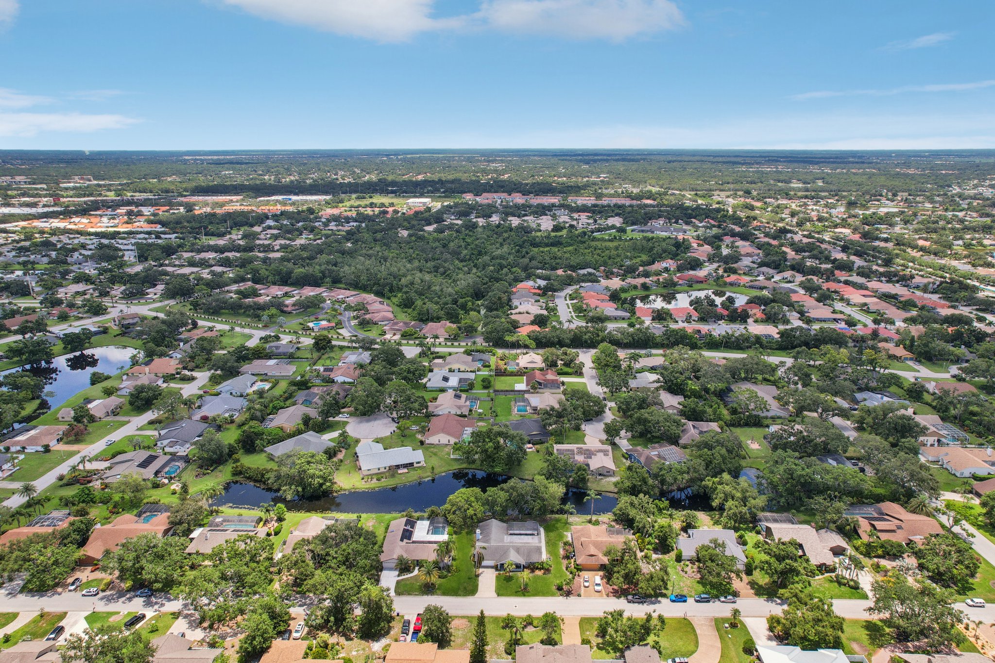 Dominica Cir-L1007-044.jpg