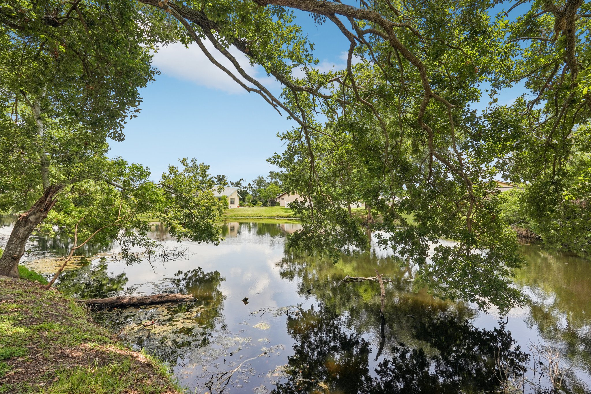 Dominica Cir-L1007-050.jpg