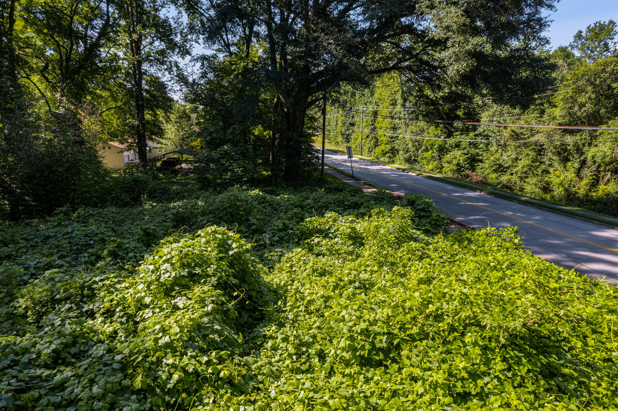 melissaprosserphotography5387austellpowdersprings10