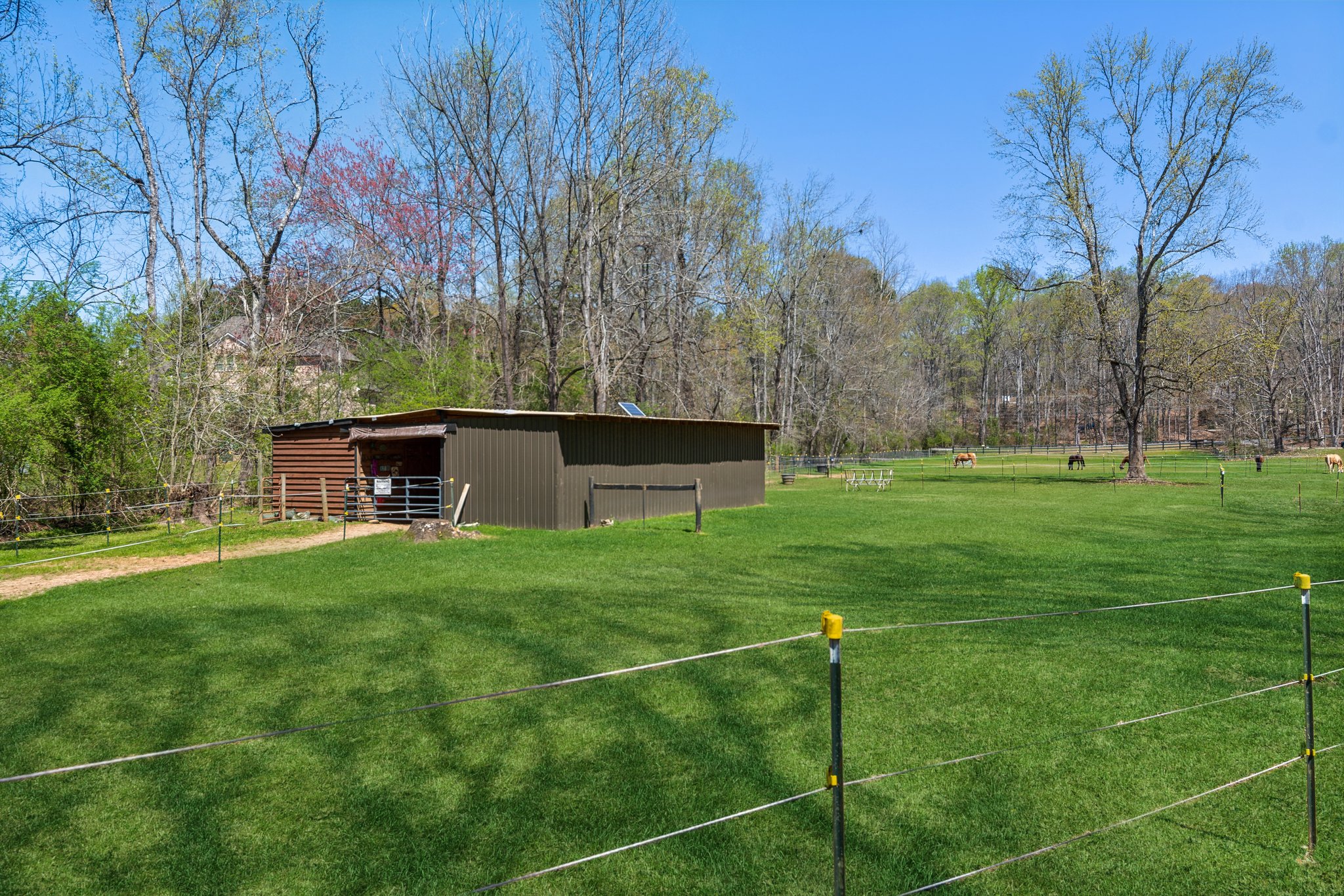 Local_Flavor_Films-5388_Frazer_Rd_Buford_GA-366.jpg