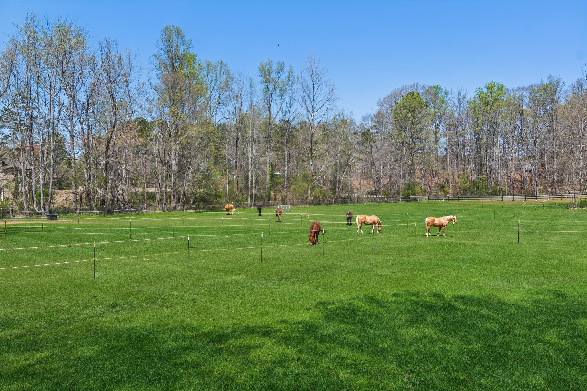 Local_Flavor_Films-5388_Frazer_Rd_Buford_GA-376.jpg