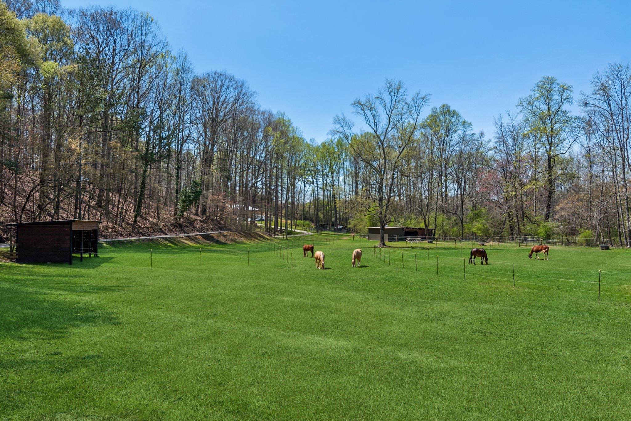 Local_Flavor_Films-5388_Frazer_Rd_Buford_GA-381.jpg