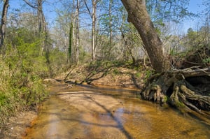 Local_Flavor_Films-5388_Frazer_Rd_Buford_GA-401.jpg