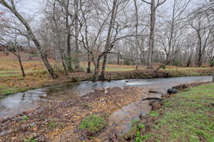  Photo 49