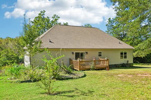 Back View