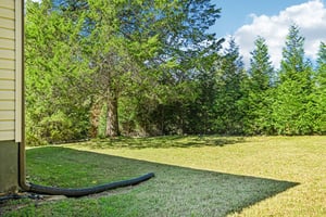 Side View