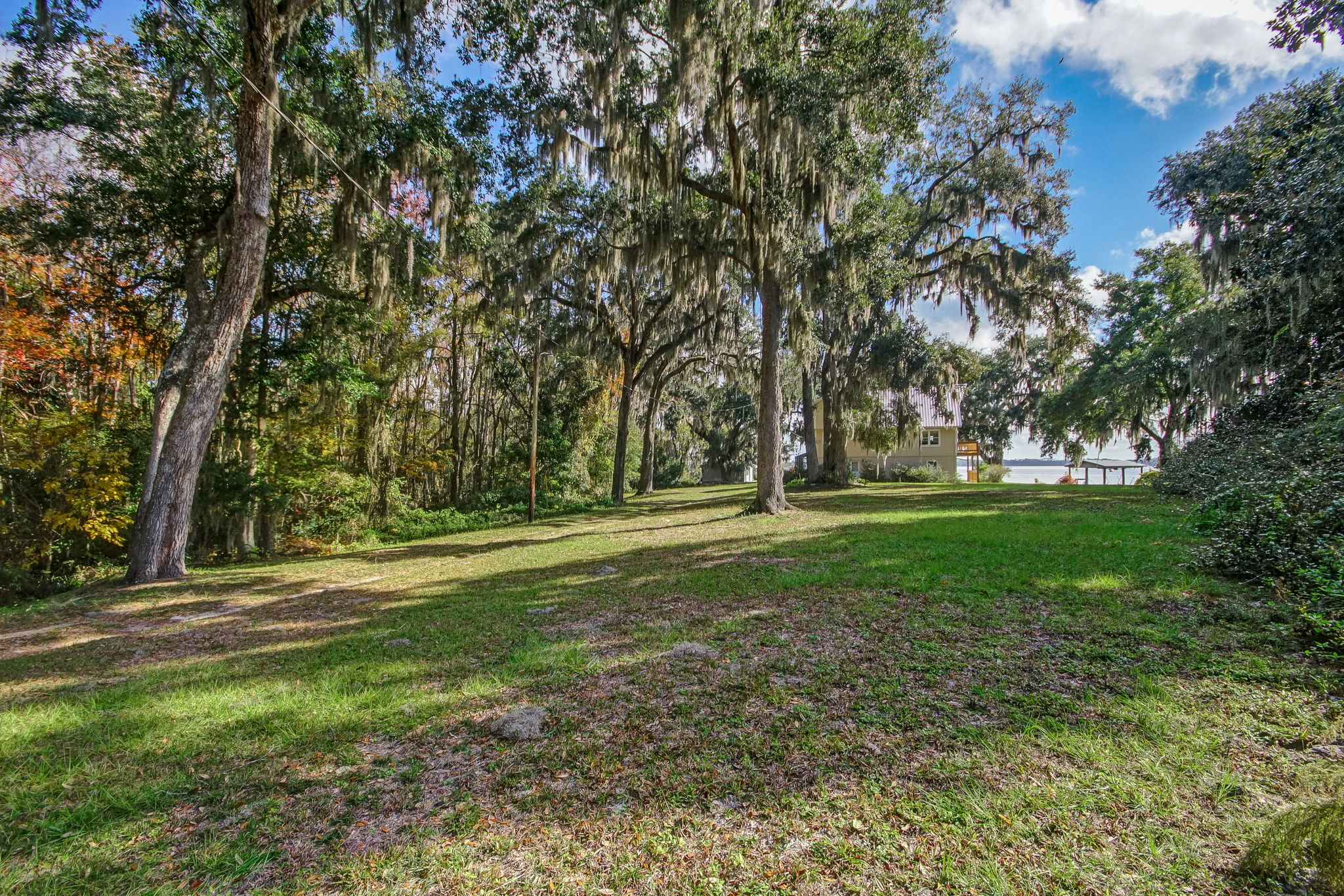 Front Yard