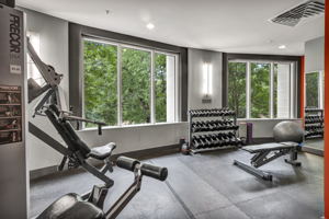 54 Rainey St, Austin, TX 78701, USA Photo 6