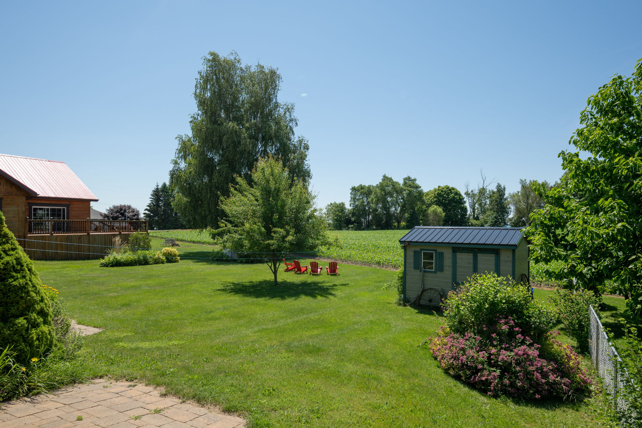  Photo 45
