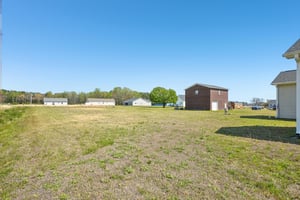 Broomcorn Ln-S2803-041.jpg