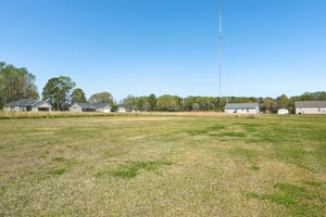 Broomcorn Ln-S2803-042.jpg