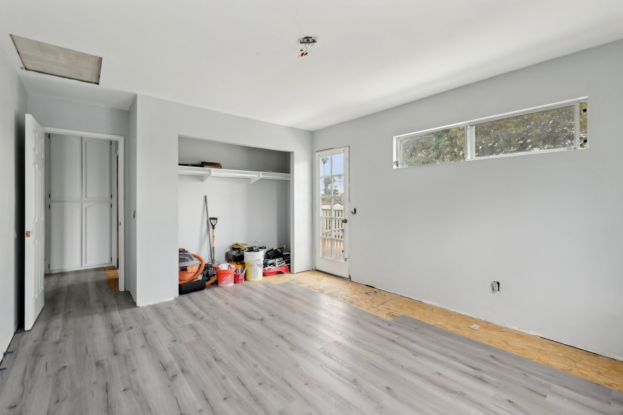 Donax Ave-0206-035.jpg