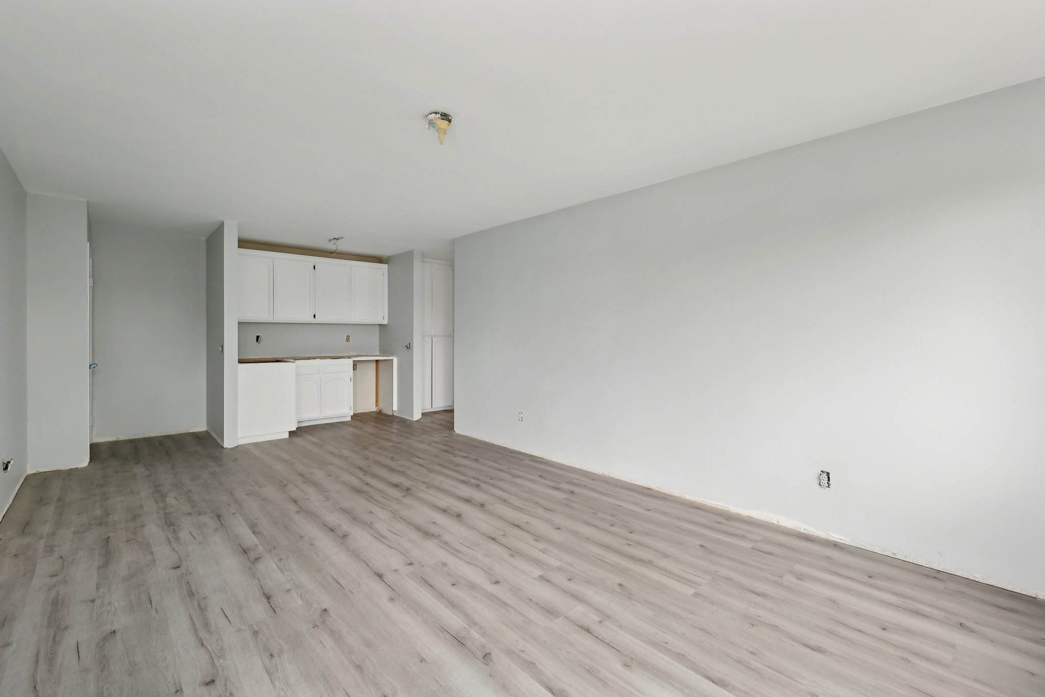 Donax Ave-0206-040.jpg