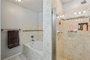Donax Ave-0206-022.jpg