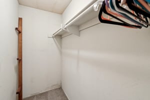 Donax Ave-0206-032.jpg