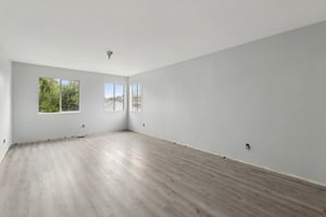 Donax Ave-0206-038.jpg