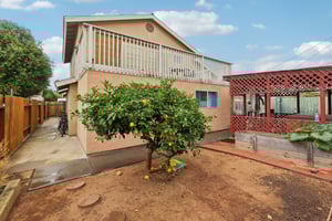 Donax Ave-0206-055.jpg