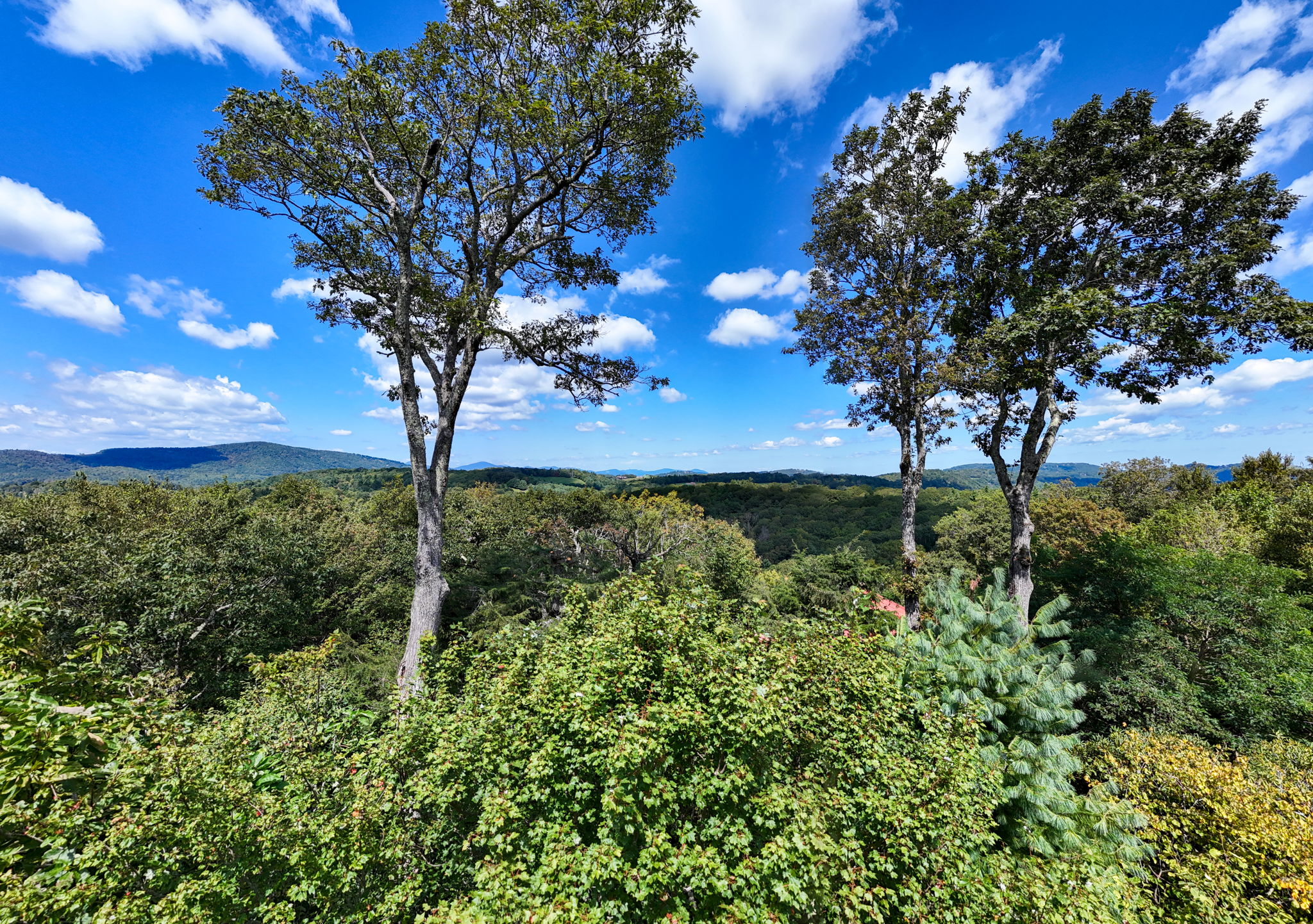 540GreenHillCircViews-1