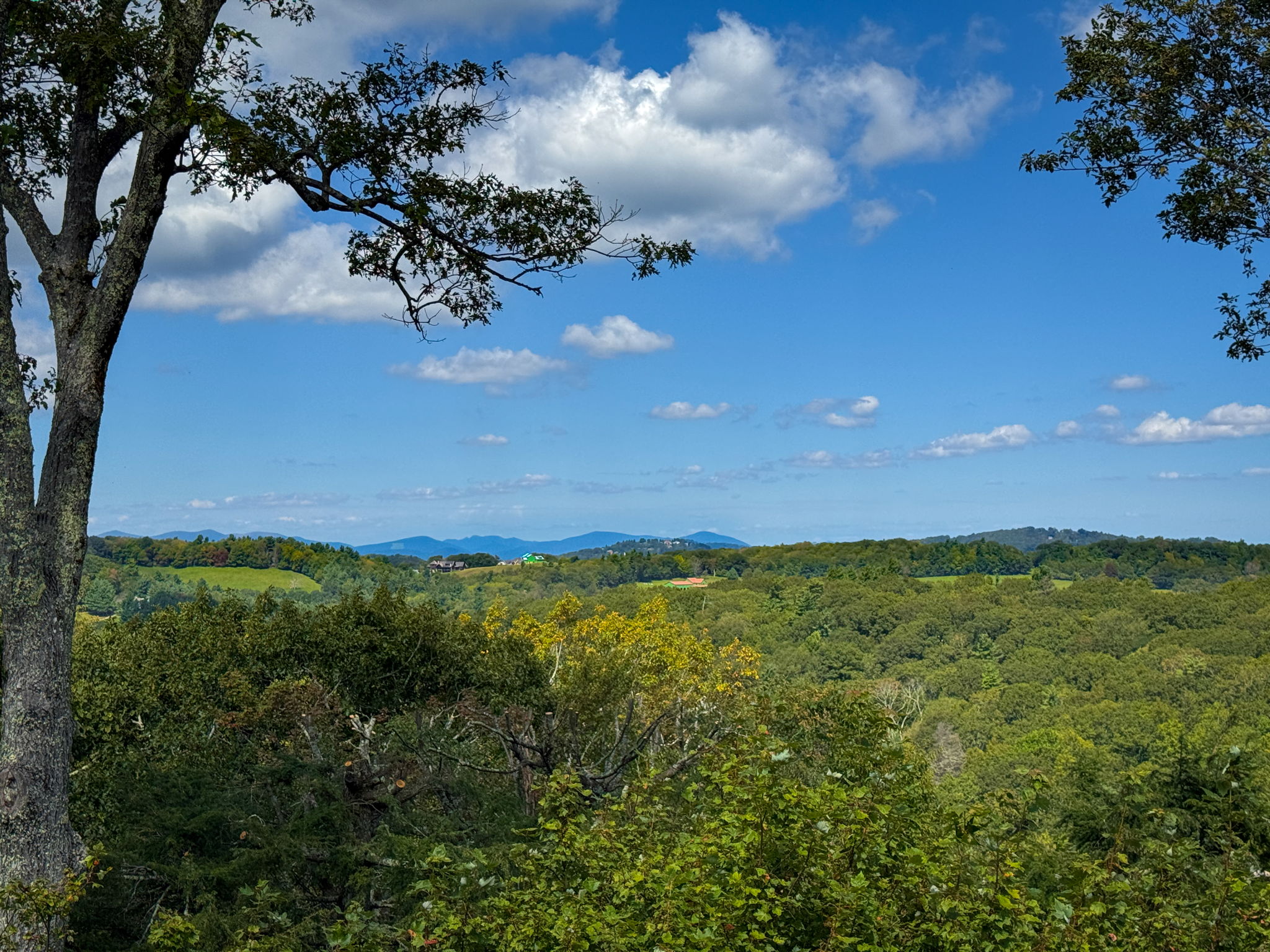 540GreenHillCircViews-6