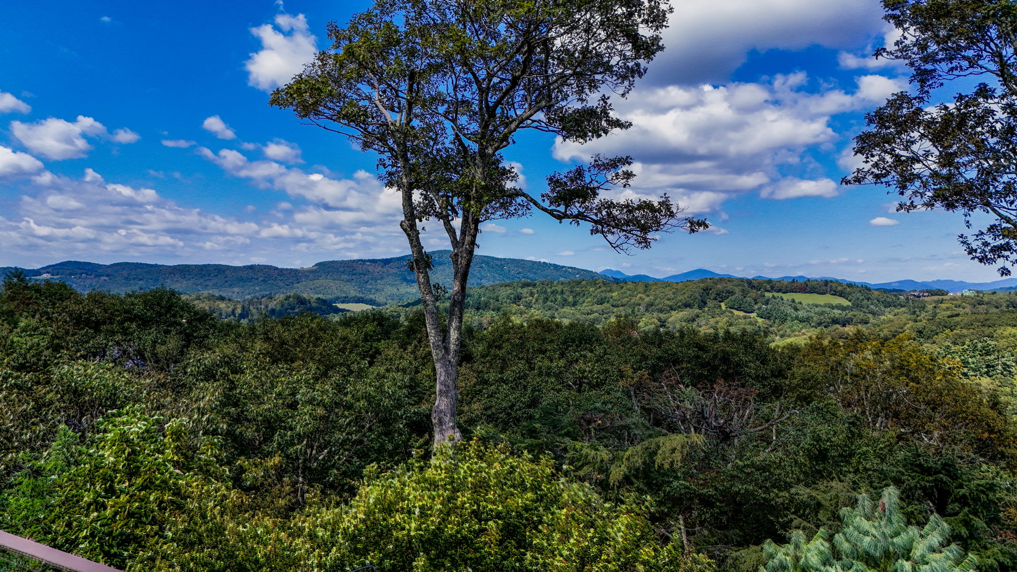 540GreenHillCircViews-7