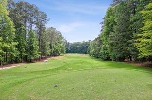 Local_Flavor_Films-540_Greenview_Terrace_Milton_GA-441.jpg