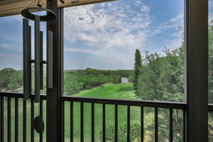 Lanai View 1