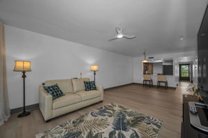 Living Room 3