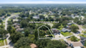  Photo 41