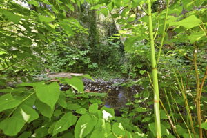  Photo 47