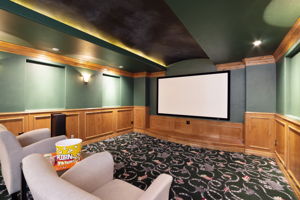 Tiered custom theater room~ screen and speakers included