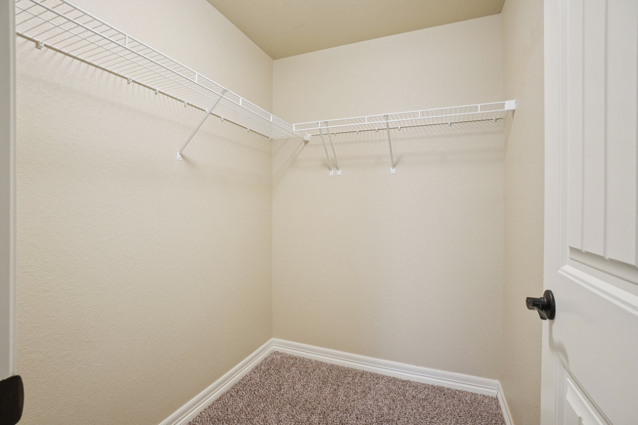 Mount Rainier St-S0312-023.jpg