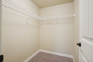 Mount Rainier St-S0312-023.jpg