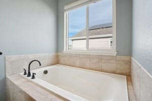 Mount Rainier St-S0312-033.jpg