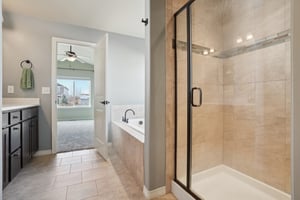 Mount Rainier St-S0312-034.jpg