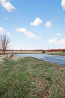  Photo 49
