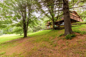 8 backyard